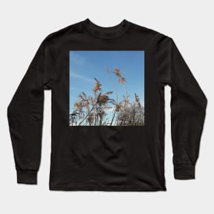 cane in wintertime Long Sleeve T-Shirt